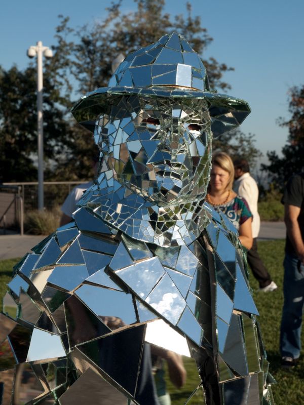 Mirror Man (15 pics)