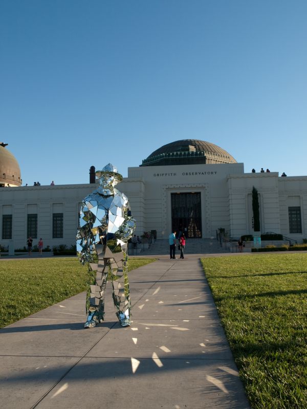 Mirror Man (15 pics)