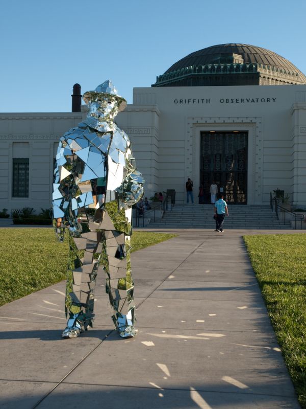 Mirror Man (15 pics)