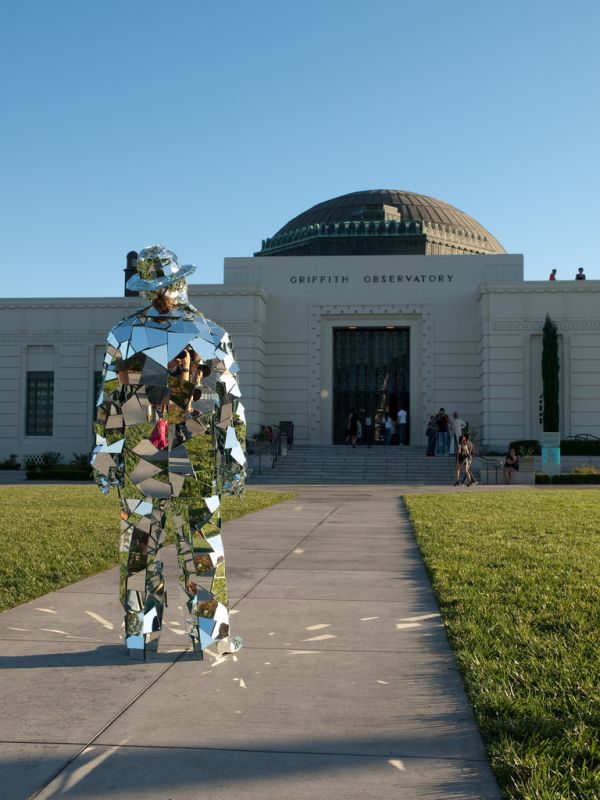 Mirror Man (15 pics)