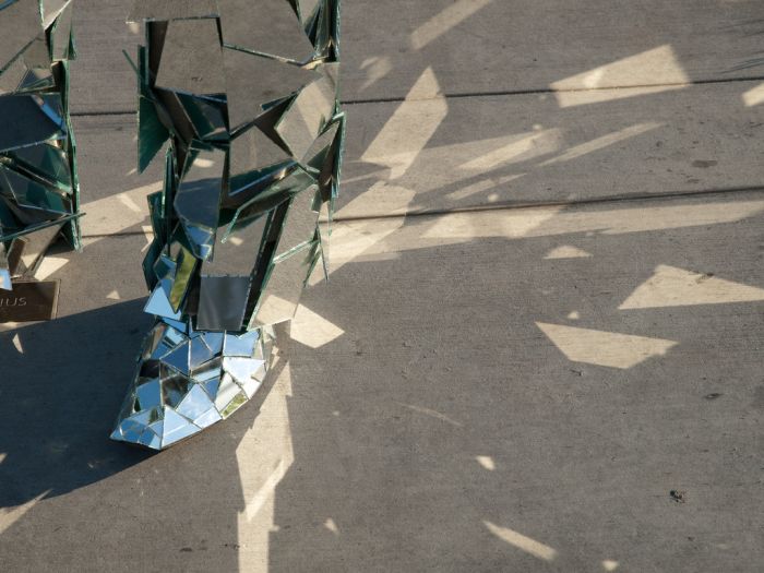 Mirror Man (15 pics)