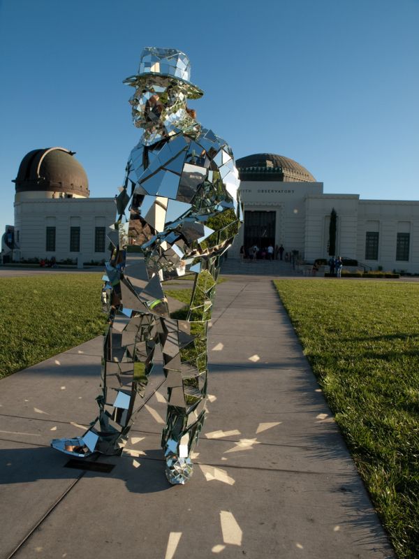 Mirror Man (15 pics)