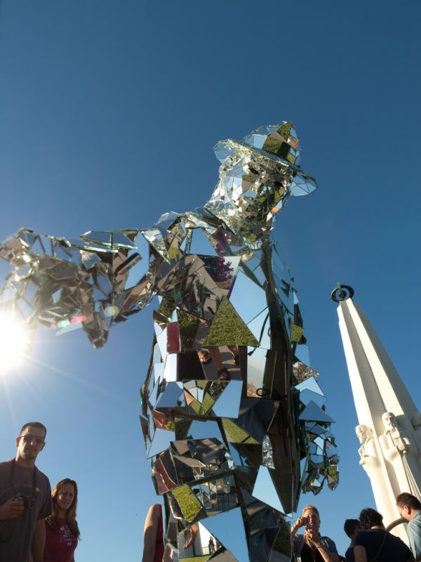 Mirror Man (15 pics)