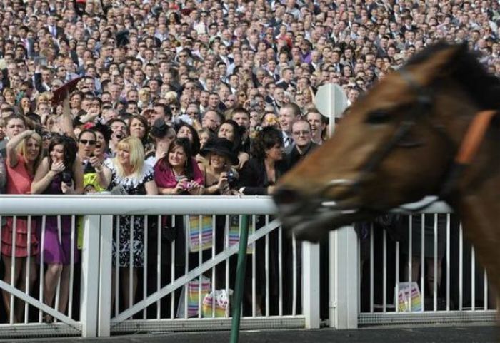 The Grand National Race in Liverpool (23 pics)
