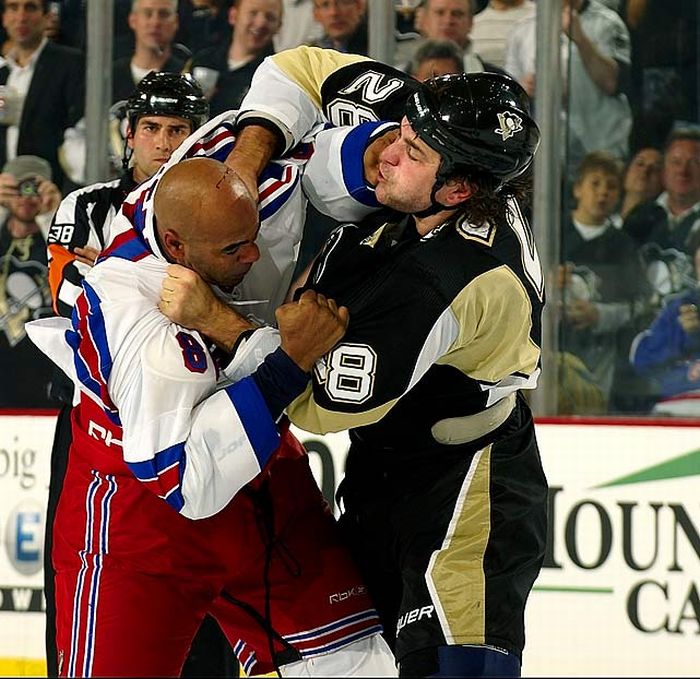 NHL's Toughest Fighters (10 pics)