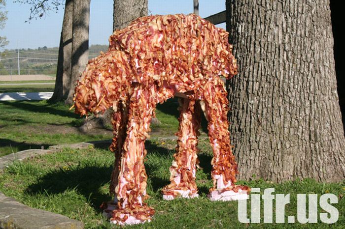 Bacon AT-AT (6 pics)