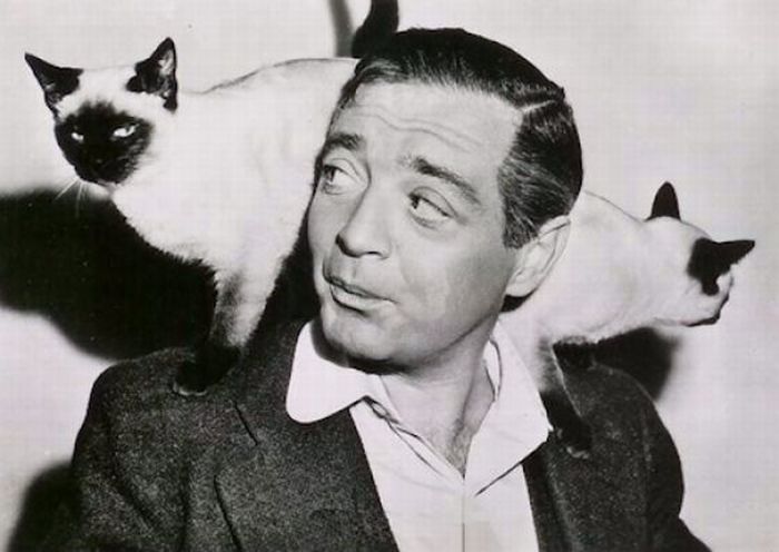 Famous People and Animals (66 pics)