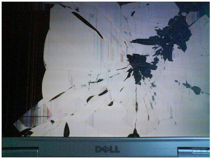 Trashed Laptops (15 pics)