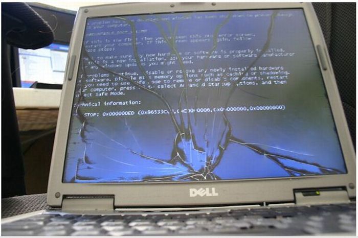 Trashed Laptops (15 pics)