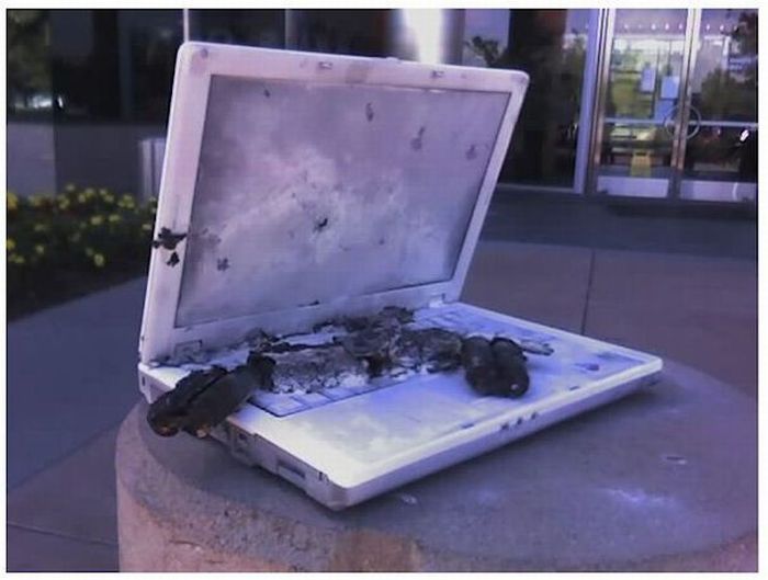 Trashed Laptops (15 pics)