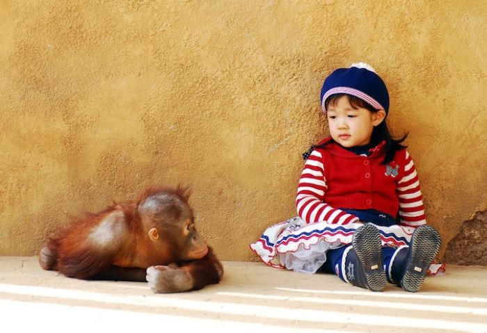 Zoo Animals Captured at the Right Moment (30 pics)