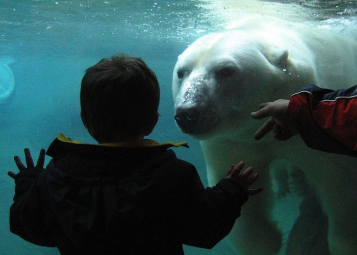 Zoo Animals Captured at the Right Moment (30 pics)