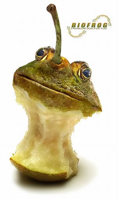 Photoshop Satire (71 pics)
