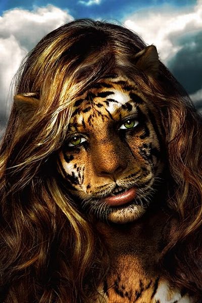 Photoshop Satire (71 pics)
