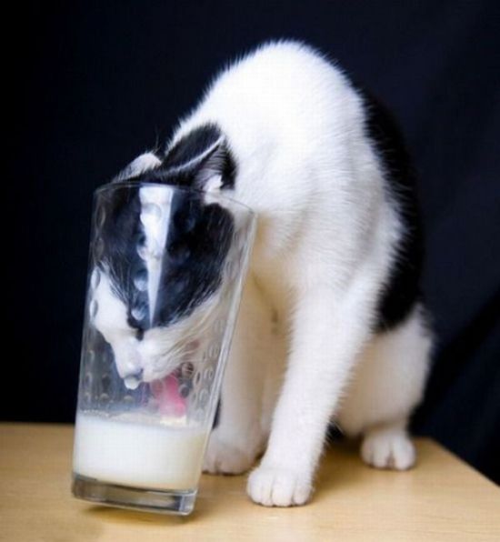 Acid Picdump (194 pics) Acid Picdump (194 pics)