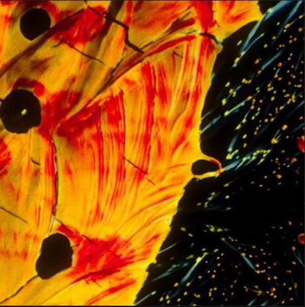 Alcoholic Cocktails Under a Microscope (30 pics)