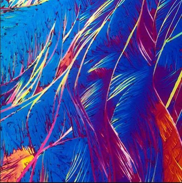 Alcoholic Cocktails Under a Microscope (30 pics)