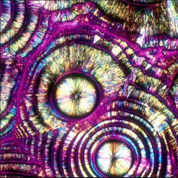 Alcoholic Cocktails Under a Microscope (30 pics)