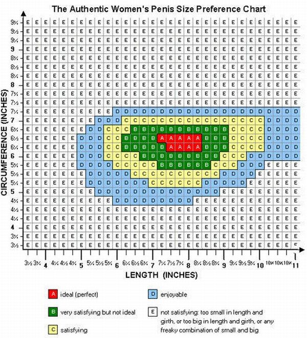 Penis Size Charts (4 pics)