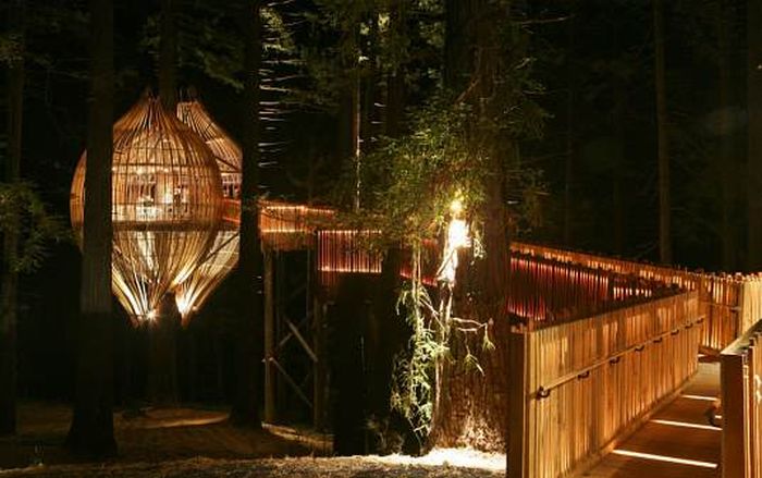 Incredible Crysalis Treehouse Restaurant (7 pics)