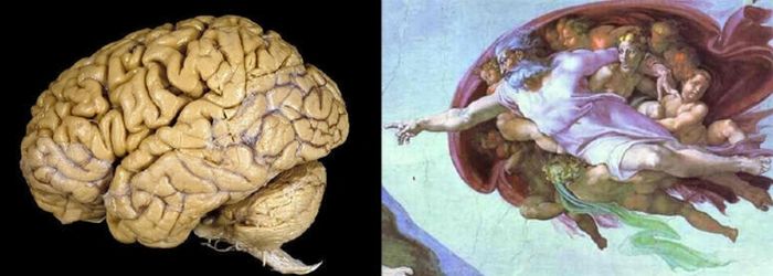 Different Look at Common Things (37 pics)