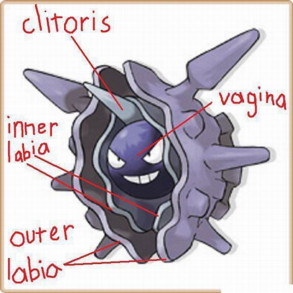 Different Look at Common Things (37 pics)