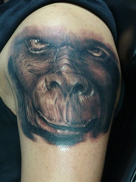 Funny Monkey Tattoos (20 pics)