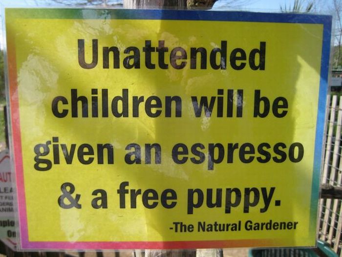 Unattended Kids Signs (26 pics)