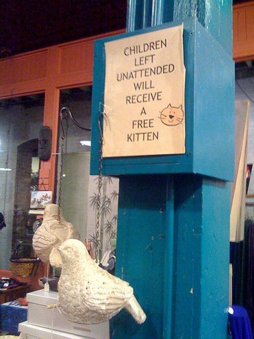 Unattended Kids Signs (26 pics)