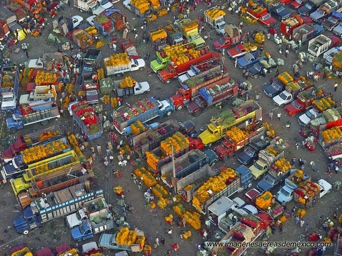 Amazing Aerial Photographs of Mexico City (78 pics)