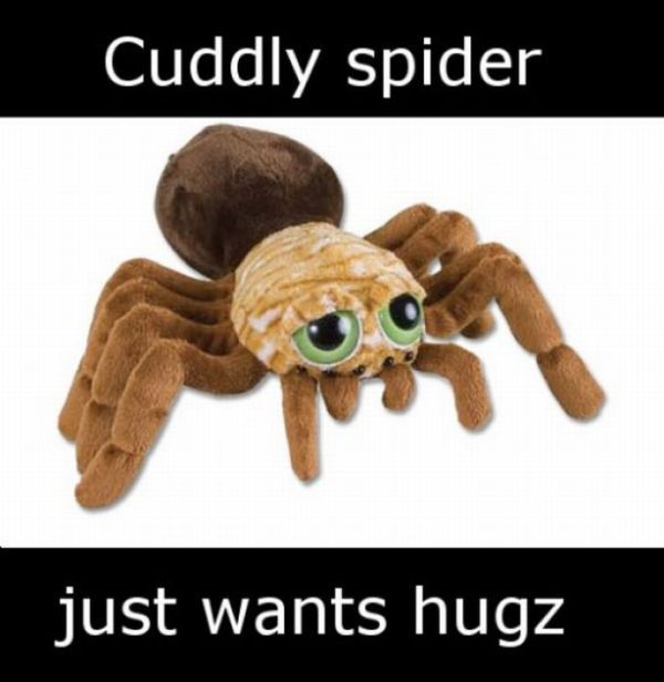 ROFL Spiders (52 pics)