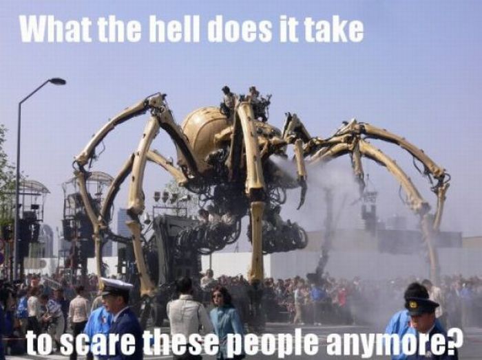 ROFL Spiders (52 pics)
