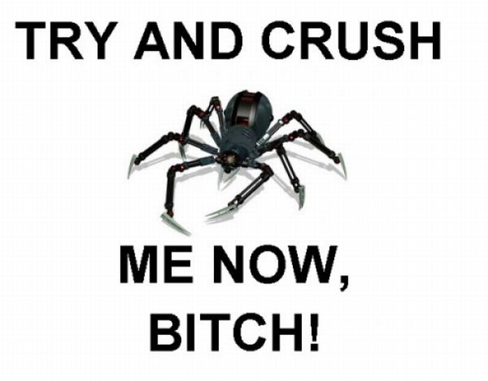 ROFL Spiders (52 pics)