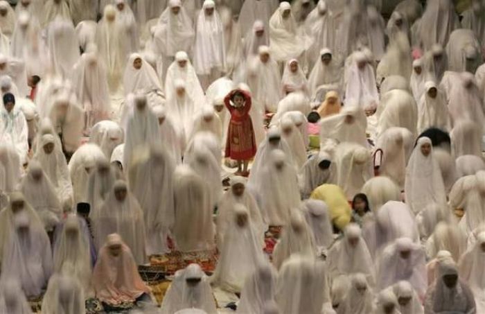 The Best of Reuters Photos 2003-2009 (89 pics)
