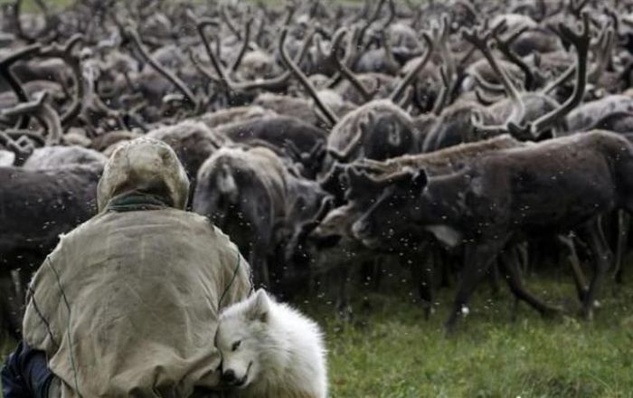 The Best of Reuters Photos 2003-2009 (89 pics)