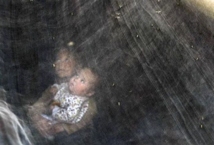 The Best of Reuters Photos 2003-2009 (89 pics)