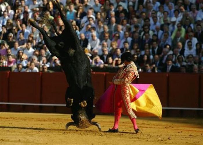 The Best of Reuters Photos 2003-2009 (89 pics)