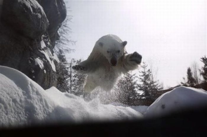 The Best of Reuters Photos 2003-2009 (89 pics)