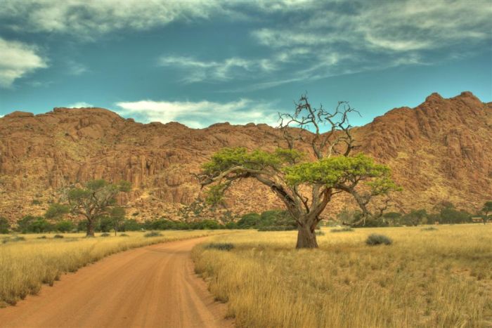 Beautiful Photos of Africa (26 pics)