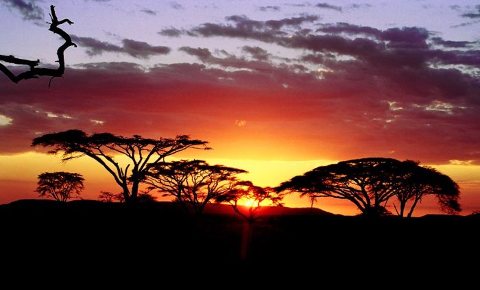 Beautiful Photos of Africa (26 pics)