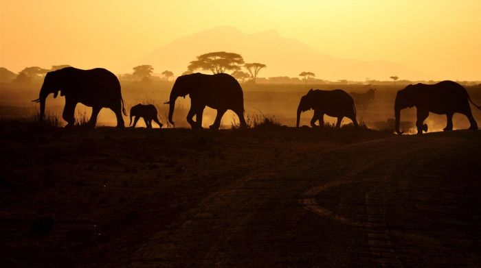 Beautiful Photos of Africa (26 pics)