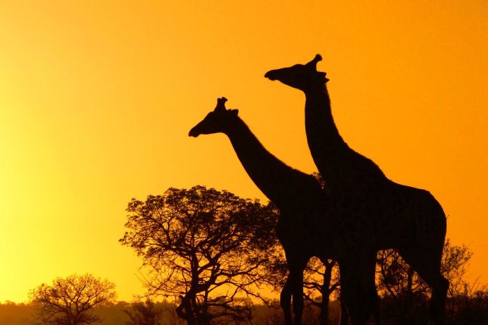 Beautiful Photos of Africa (26 pics)