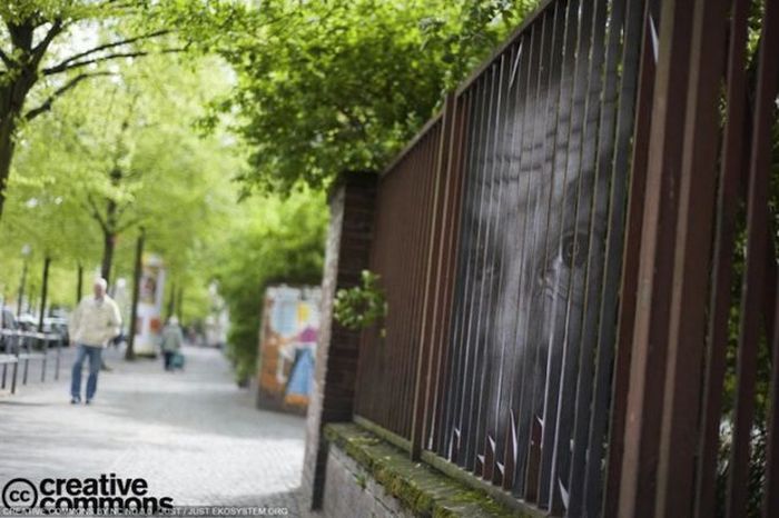 A Fence with Surprise (2 pics)