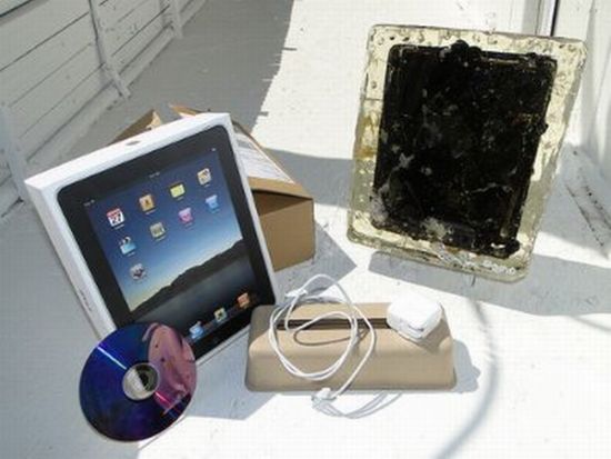 Microwaved iPad (14 pics)