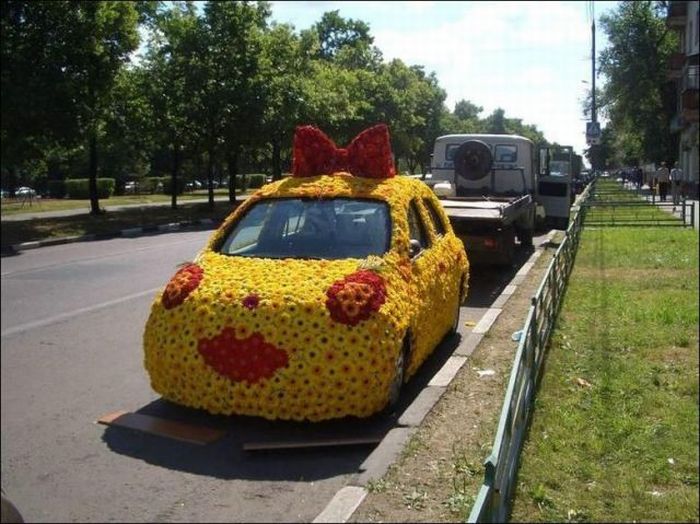 Funny Vehicles (50 pics)