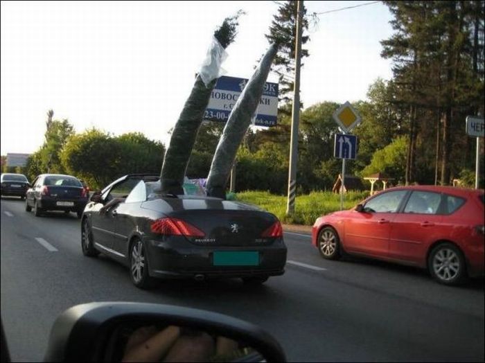 Funny Vehicles (50 pics)