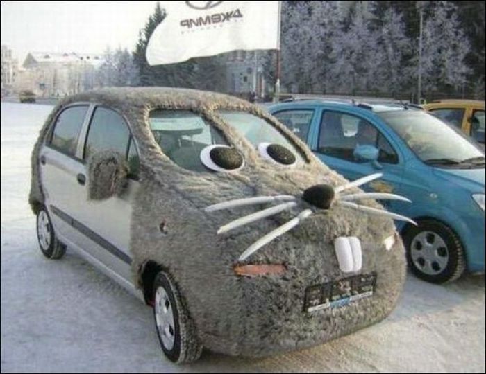 Funny Vehicles (50 pics)