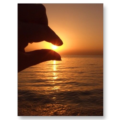 Catch the Sun (35 pics)