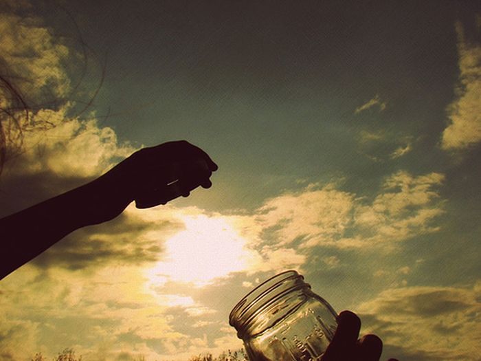 Catch the Sun (35 pics)