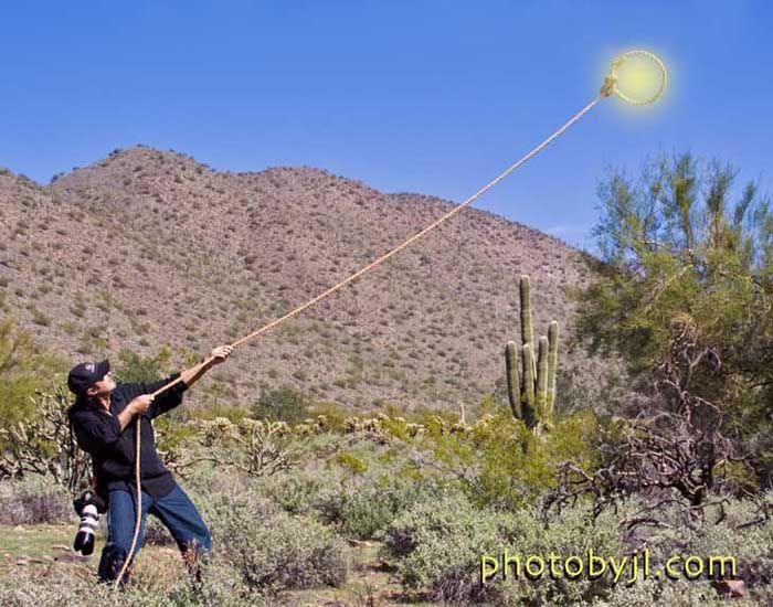 Catch the Sun (35 pics)
